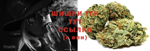 mdma Заводоуковск