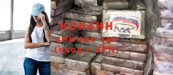 хмурый Инта