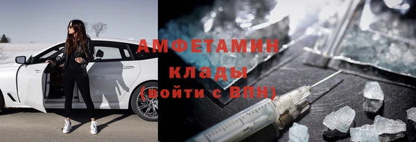 шишки Инсар