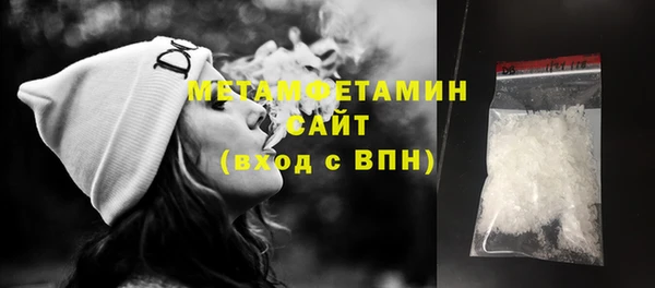 шишки Инсар