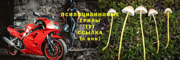 ПСИЛОЦИБИНОВЫЕ ГРИБЫ Заволжск