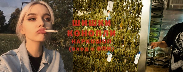 ПСИЛОЦИБИНОВЫЕ ГРИБЫ Иннополис