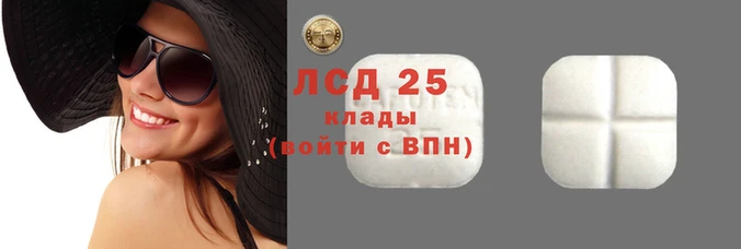 шишки Инсар