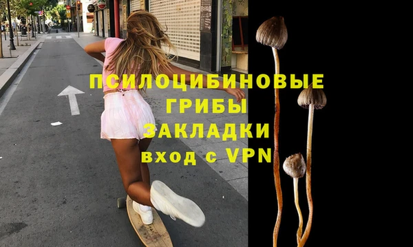 ПСИЛОЦИБИНОВЫЕ ГРИБЫ Заволжск