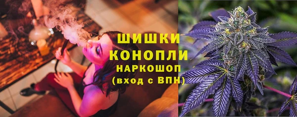 хмурый Инта