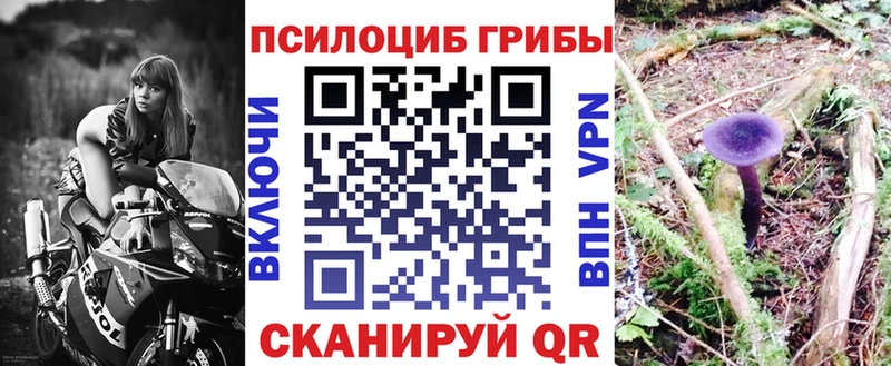 Купить  Светогорск  Псилоцибиновые грибы ЛСД 
